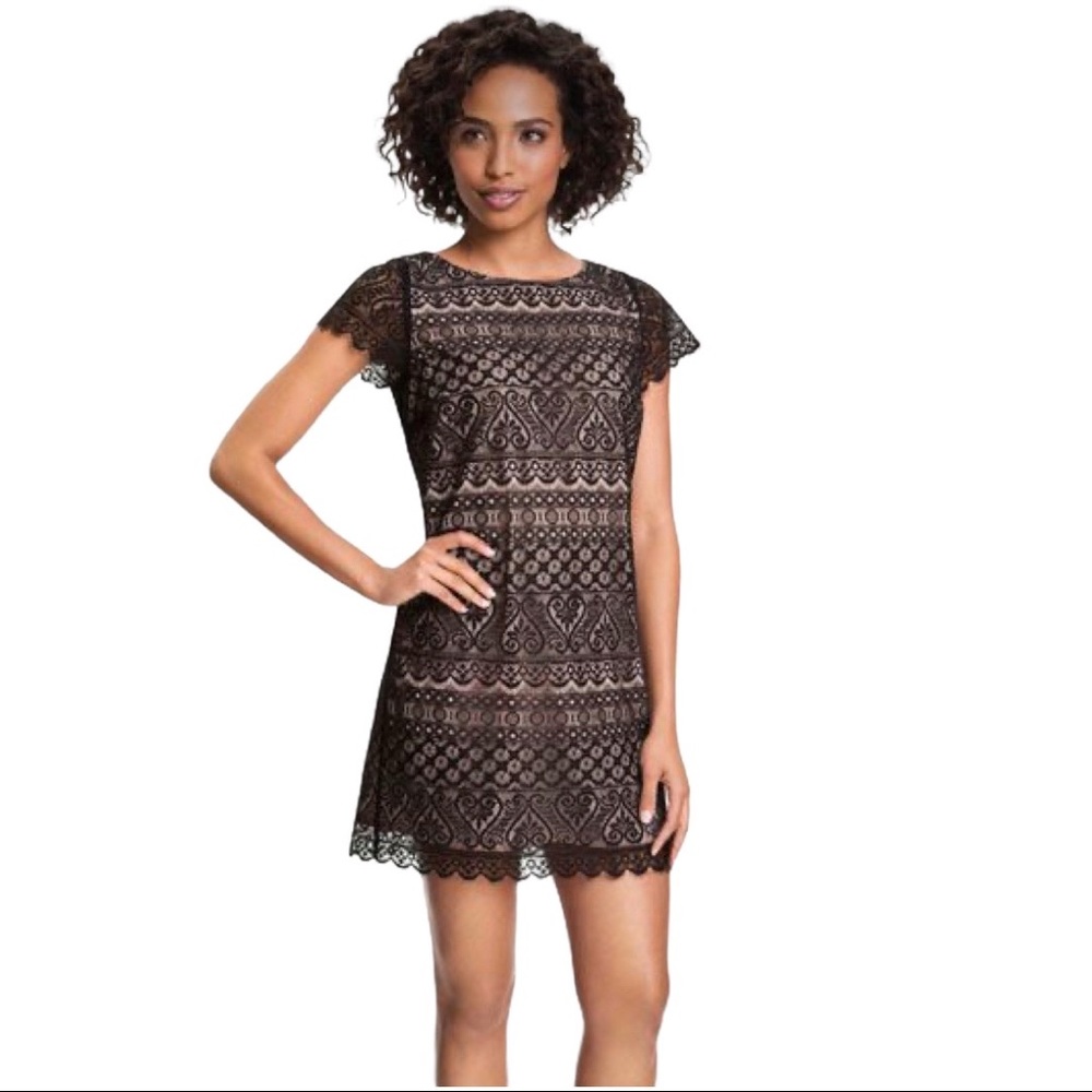 Nordstrom Felicity & Coco Lace shift dress